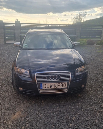 Audi A3 cena 24900 przebieg: 192810, rok produkcji 2008 z Ostrów Lubelski małe 67